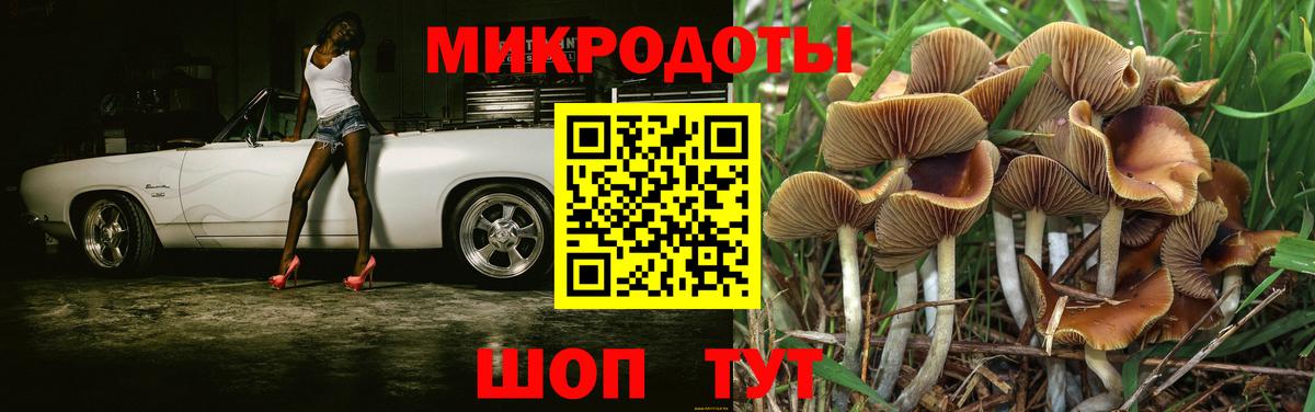 Клин  Псилоцибиновые грибы GOLDEN TEACHER  Вход с VPN 